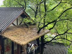 -巴倒烫陆派火锅山庄(南山总店)
