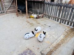 -幽岚山·童话森林
