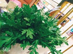 -椰子营·椰子鸡火锅(万象里店)