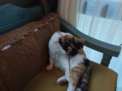 -BUND·FIVE外滩5号(天际店)