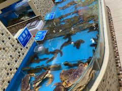 -双井轩(双井店)