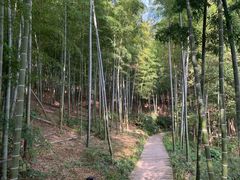 -天目湖涵田度假村