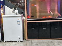 -老杨头烧烤(博烤堂店)