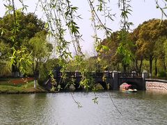 -上海鲜花港