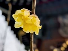 -月坛公园