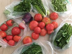 -万源龙顺度假庄园生态观光园