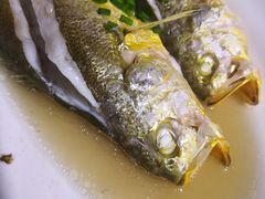 清蒸大黄鱼-胖大嫂渔家排档·全海景餐厅(渔村店)