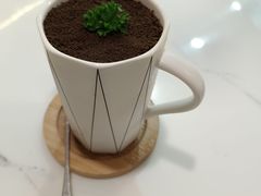 -喵园·猫主题咖啡厅·撸猫·猫咖(国贸店)