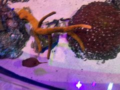 -沈阳海洋探索中心