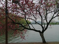 -杭州西湖风景名胜区-钱塘苏小小之墓