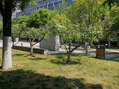 -木塔寺遗址生态公园