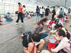 -前小桔亲子创意农场·草莓采摘·露营烧烤