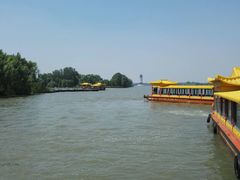 -溱湖国家湿地公园