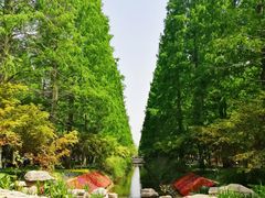 -东平国家森林公园