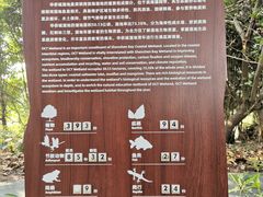 -华侨城湿地公园