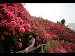 -木兰云雾山