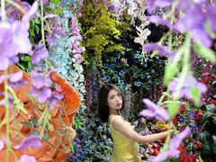 -正佳雨林生态植物园
