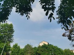 -金海湾滨江公园