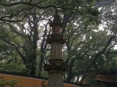 -普陀山风景名胜区-法雨禅寺