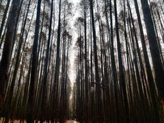 -山王坪喀斯特国家生态公园