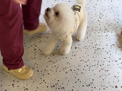 -瑞派康怡24h宠物医院·犬猫医疗中心·微创绝育(瑞景分院)