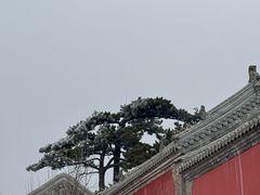 -妙峰山风景名胜区