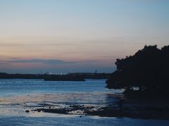 -宝安西湾红树林湿地公园