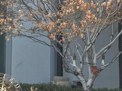 -安妮意大利餐厅(世贸天阶店)