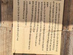 -疏芬山金矿