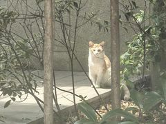 -南桥绿地铂骊酒店