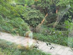 -浙江西子宾馆·瑶园咖啡厅