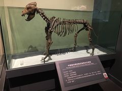 -大庆市博物馆