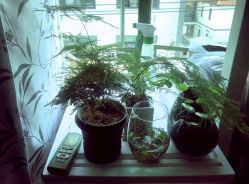 -苏州大学附属儿童医院(景德路院区)