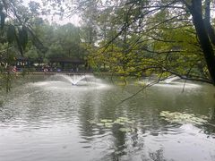 -东湖落雁景区