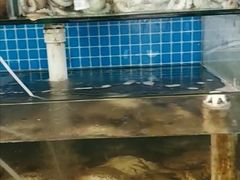 水产区-87号烧烤海鲜·大排档(金沙滩店)
