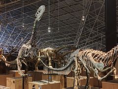 -世界恐龙谷景区