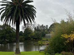 -墨尔本皇家植物园