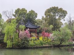 -南汇桃花村