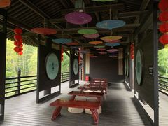 -大唐贡茶院