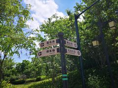 -神光山国家森林公园