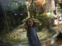 -陕西自然博物馆