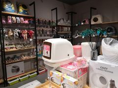 -CAT’S MEWSTAR CAFE·喵星球猫屋(晴湾咖啡店)