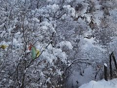 -秦岭风景区