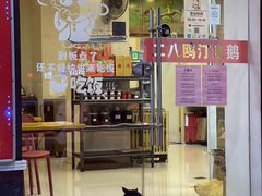 -二八鸥汀老鹅(金涛庄店)