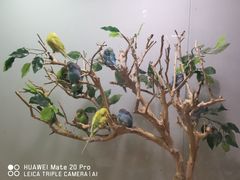 -常州海昌海洋探索馆