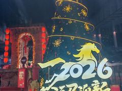 -钱江新城灯光秀