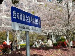 -高东镇樱花园