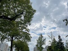 -上海交通大学医学院附属仁济医院(南院)