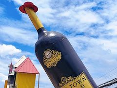 -美心红酒小镇游乐园