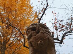 -北京石刻艺术博物馆(五塔寺)